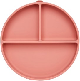 Freso prato de alimentação Baby